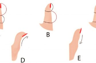 По форме большого пальца можно все рассказать о характере