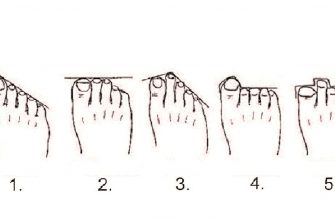 Расположение пальцев на ногах расскажет про вас неожиданную информацию