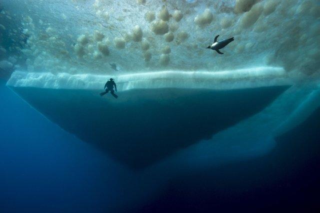 Редкие фото, после которых лезть в воду не захочется