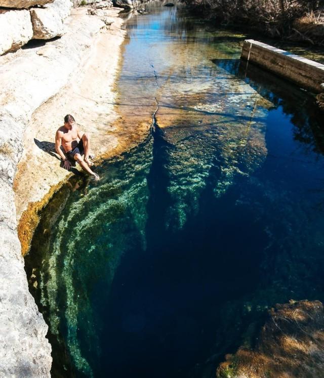 Редкие фото, после которых лезть в воду не захочется