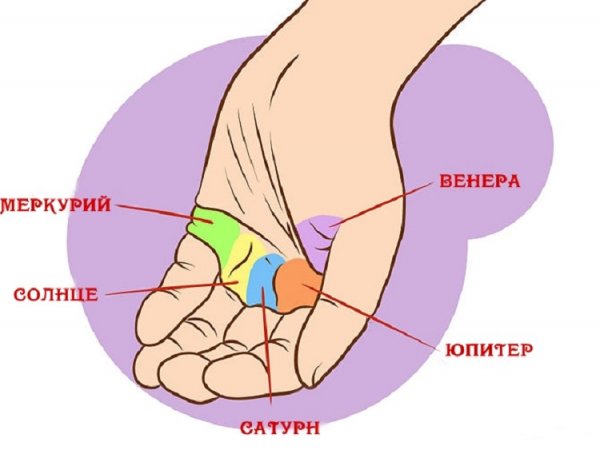 Главные линии на ладони расскажут о вас практически все!