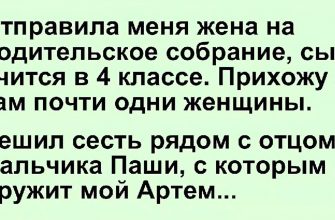 "Сходил ... называется!" Отправила меня жена сегодня на родительское собрание, сын учится в четвертом классе