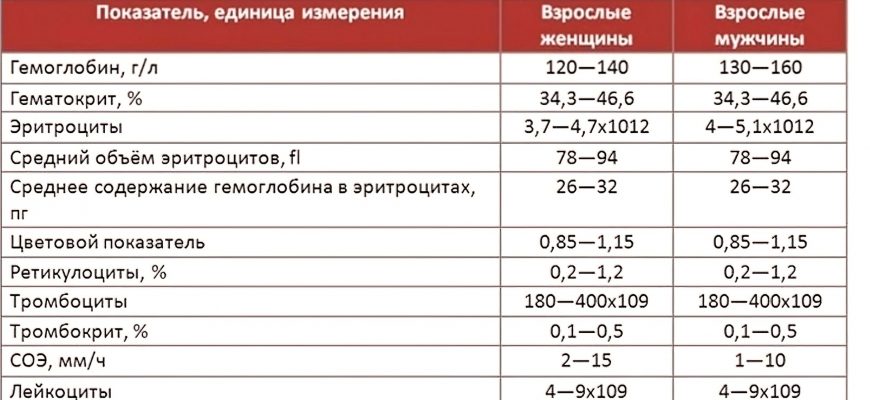 Четверо детей и 30 лет вместе: Алфёрова и Мартынов — самая красивая пара, история любви