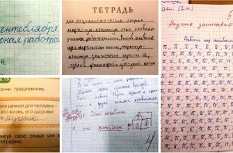 Выдержки из школьных тетрадок, которые трудно забыть