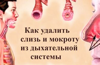 Средства, которые точно работают: как выгнать слизь и мокроту из горла и груди